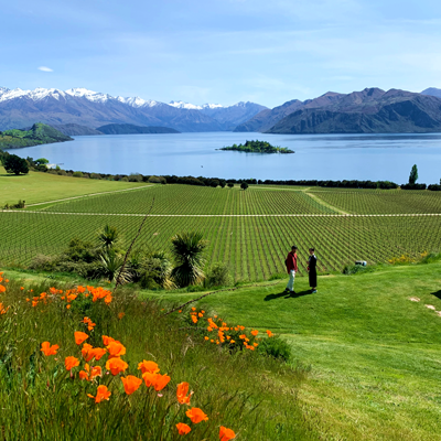 セントラルオタゴ・ワイナリー訪問 デラックスツアー